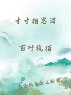 寸寸相思泪
